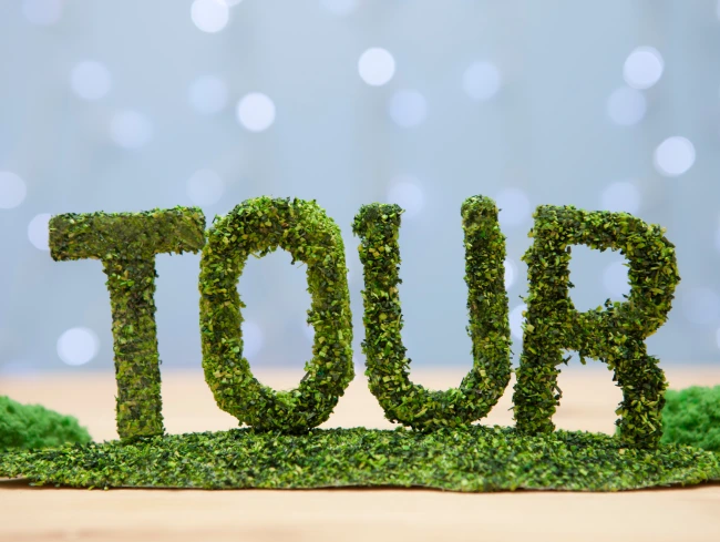 TOUR AND TRAVELS
